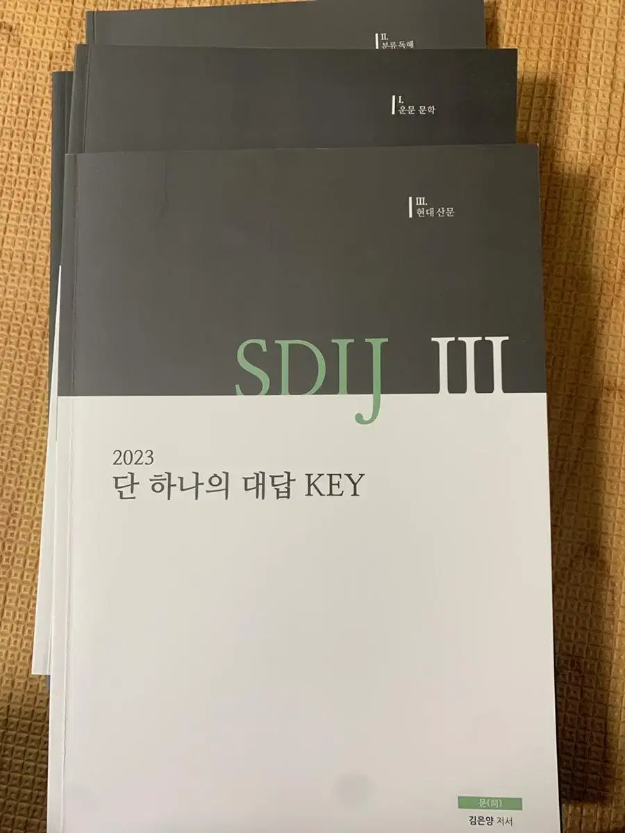 시대인재 국어 김은양t key 본교재